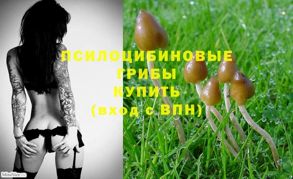 мдпв Горняк