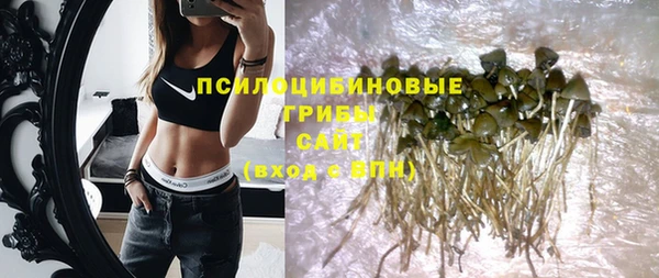 ECSTASY Горнозаводск