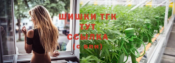 мдпв Горняк