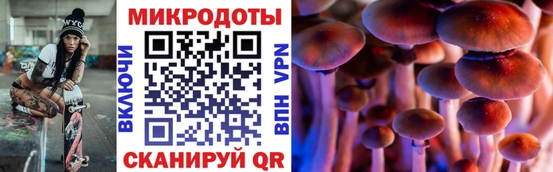 сколько стоит omg зеркало Псилоцибиновые грибы Magic Shrooms Новый Оскол