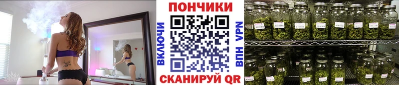 Бошки Шишки марихуана  цена   Новый Оскол 